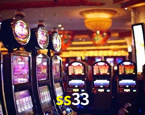 Security Systems ss33